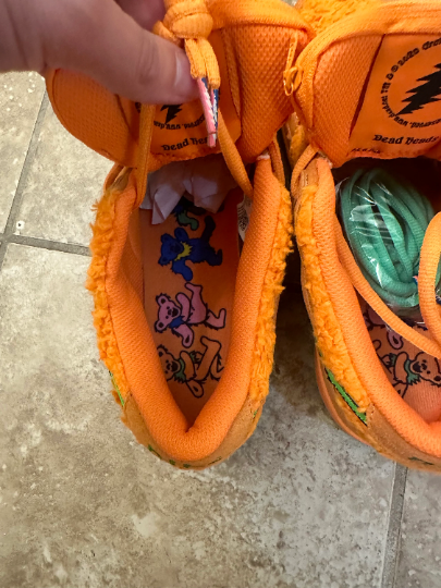 Nike Custom Dunks Grateful Dead Bears